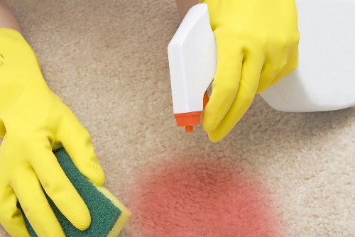 Professional cleaning of pet stains on carpet in a Lambeth home