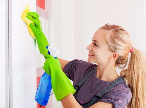 Local window cleaning for homes and flats in Lambeth