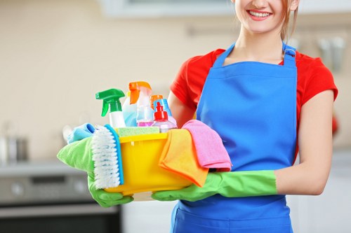 Lambeth Cleaners professional cleaning service introduction