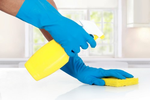 Local stain treatment service for carpets, chairs, and mattresses in Lambeth