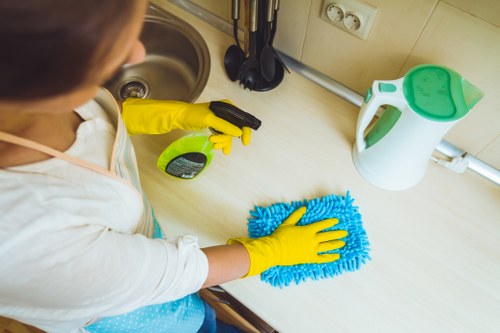 Odour removal treatment for a pet-stained sofa in Lambeth