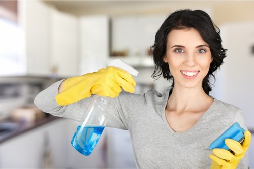 Local pet stain and odour cleaning service for homes and rentals in Lambeth