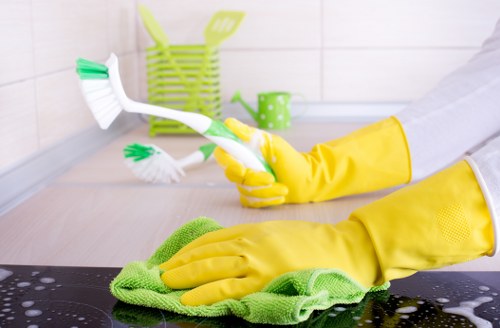 Detailed move out cleaning in a residential Lambeth home