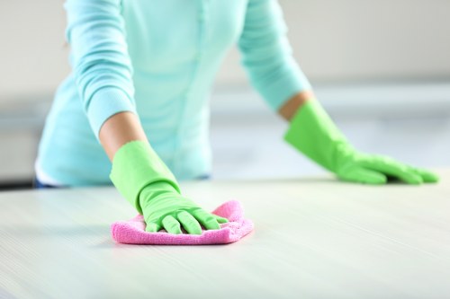 Final paragraph image showing commitment to safe cleaning standards