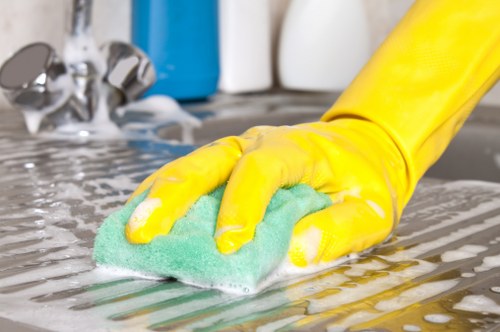Deep cleaning an oven door and racks in Lambeth