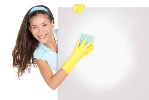 Carpet and upholstery pet odour treatment in a Lambeth property