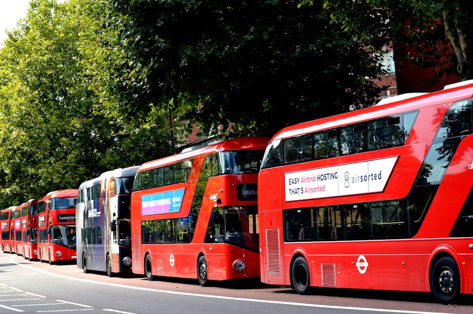 A lineup of red double-decker buses parked along a street in Lambeth, with trees providing shade overhead. The buses feature prominent branding and advertisements, and the scene appears to be taken during the daytime with bright natural lighting. The street surface is visible beneath the buses, and the surroundings include some buildings partially obscured by the greenery. Lambeth Cleaners emphasizes surface cleaning and maintenance in their professional cleaning services, ensuring hygiene and proper care of residential and commercial spaces. This image illustrates the importance of cleaning and sanitation, especially in public transportation environments, aligning with the content on pet stain removal mistakes and cleanliness advice on the Lambeth cleaners website.